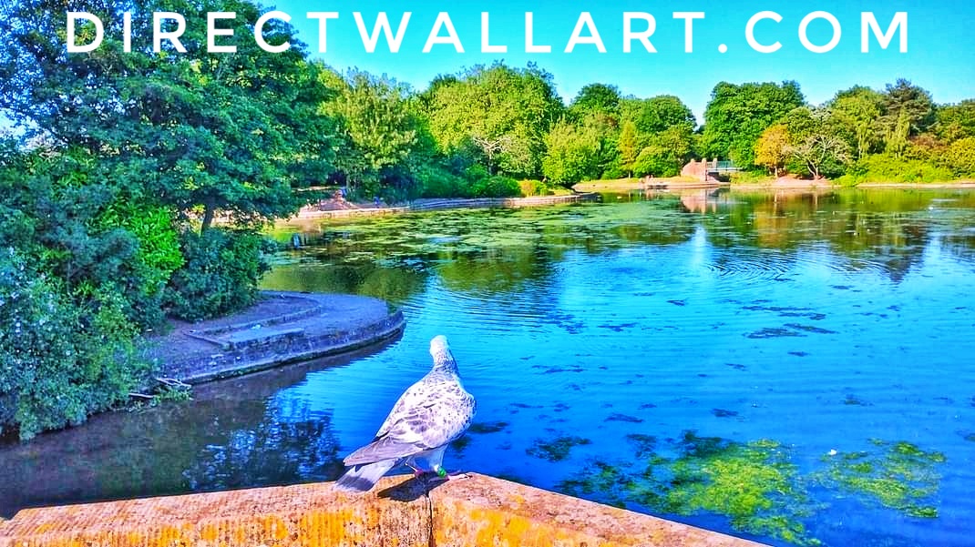 park wall art